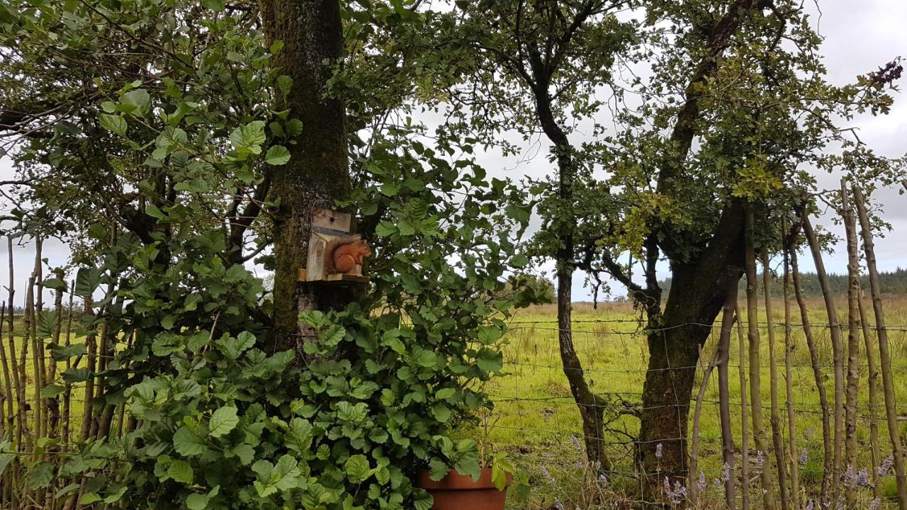 Cosy Cottage On The Causeway Coast And Glens Ballycastle Ngoại thất bức ảnh